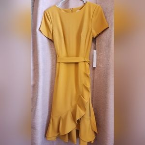 Calvin Klein Ruffle hem dress